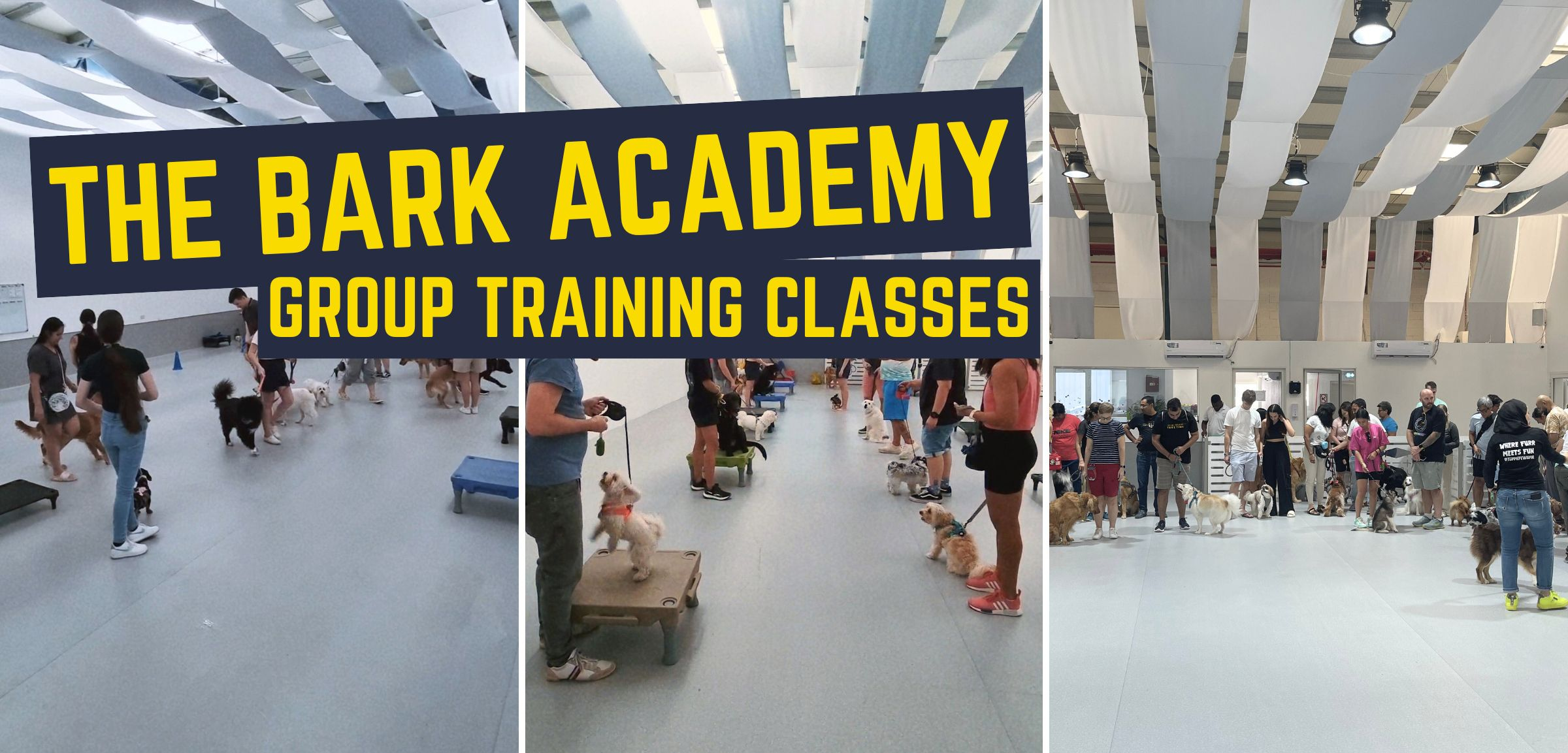 🎉 Who’s ready for a tail-wagging good time?! 🐾
If you’ve been looking for the perfect way to train your pup and have a great time doing it — this is for you! 🐶💪

🐾 Bark Academy – Group Training Class 🐾
📅 Saturday, April 19th
🕙 10:00 AM – 12:00 PM

Here’s what’s in store:
✅ Positive, reward-based training
✅ Socialization with other pups
✅ Fun, practical exercises & real-life skills
✅ Expert trainers in a relaxed setting
🎯 Mini games & challenges for both pups and humans
🎁 Prizes and treats to keep things exciting!

It’s not just training – it’s bonding, learning, and having a blast together. 🎉

Spots are limited – book now and join us for a morning full of learning, laughs, and wagging tails! 🐕‍🦺
https://www.petwithit.com/group-training-classes/