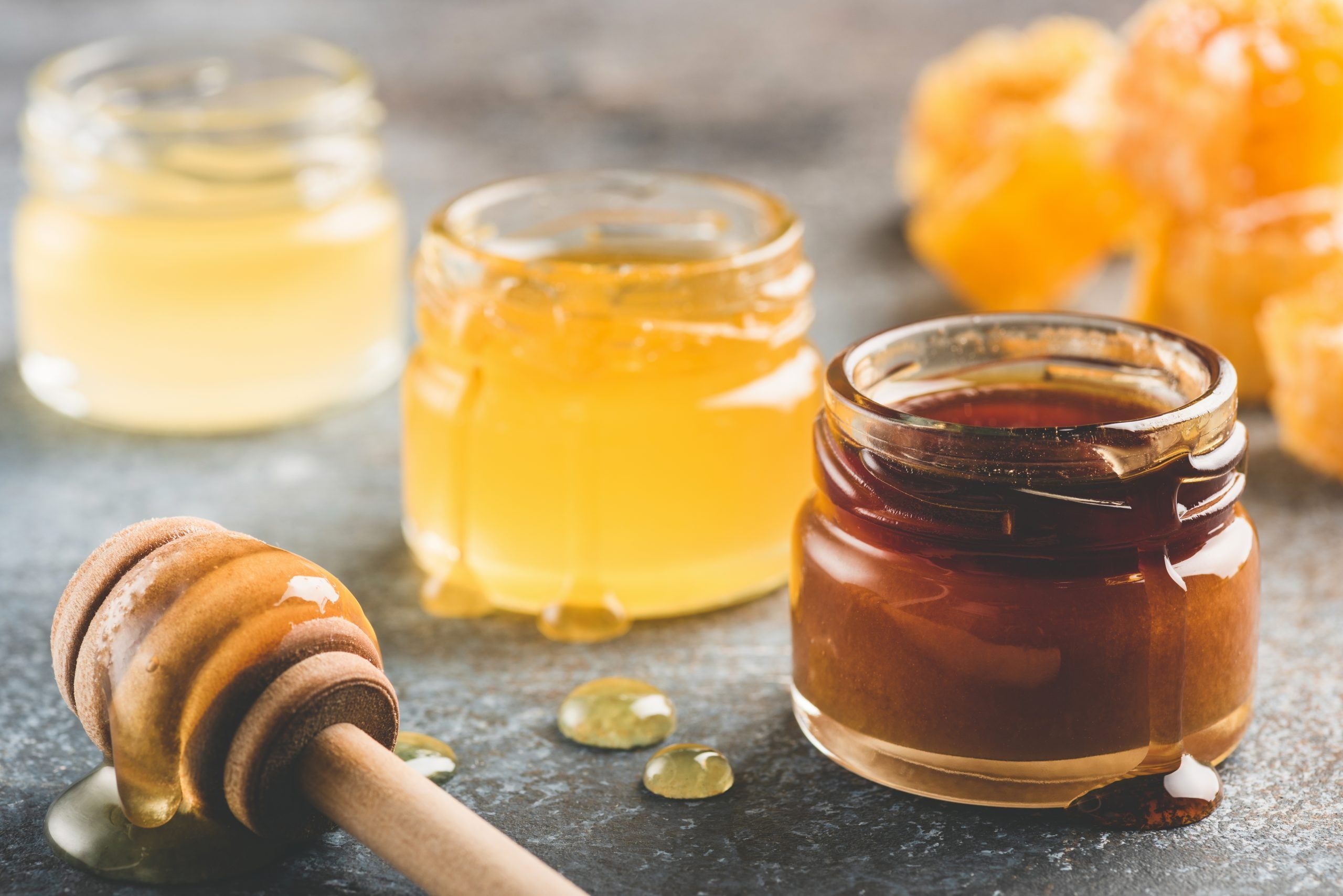 Honey Sensory Training (Level I)