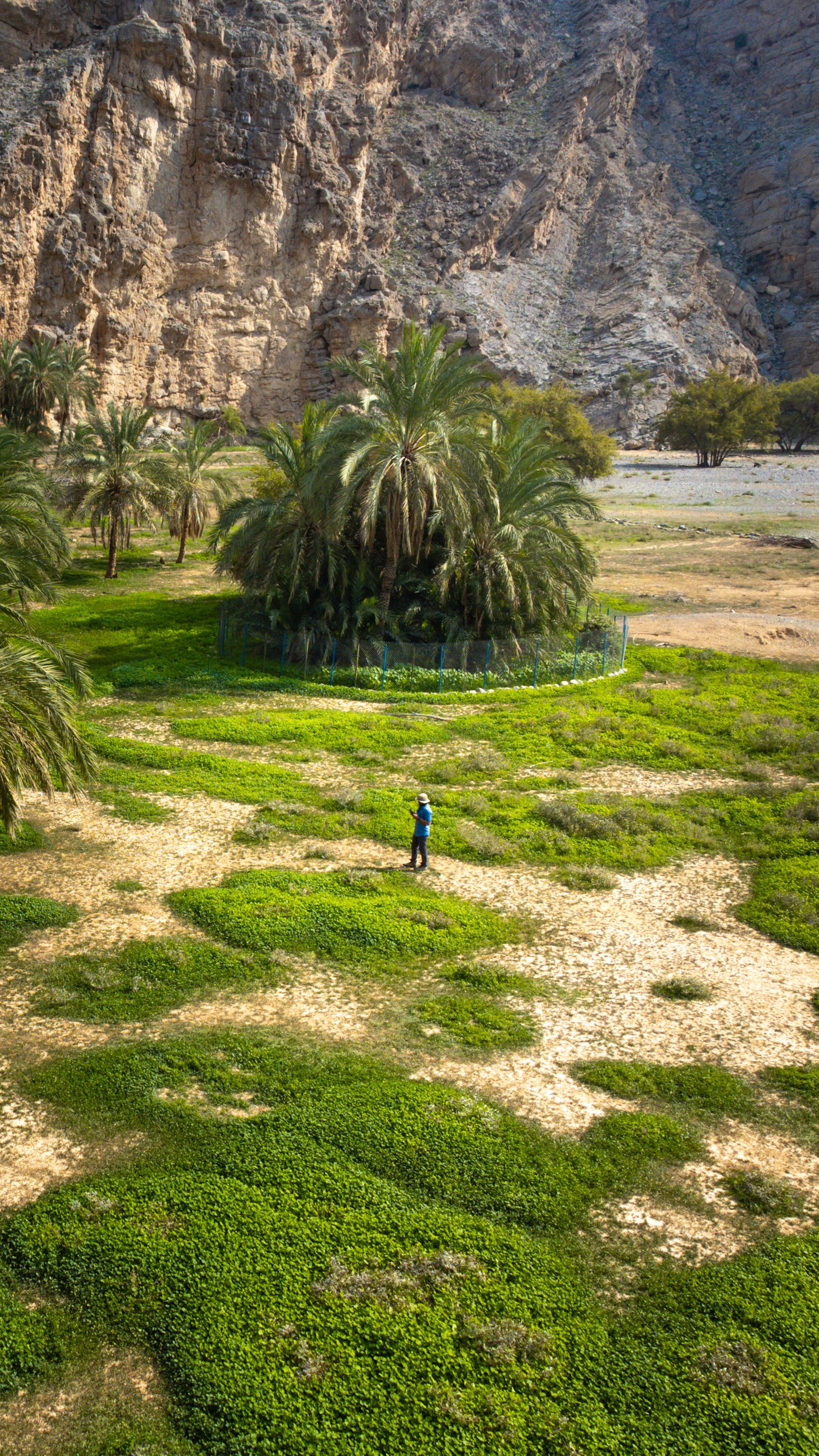 Sal Shahha | Hidden Oasis