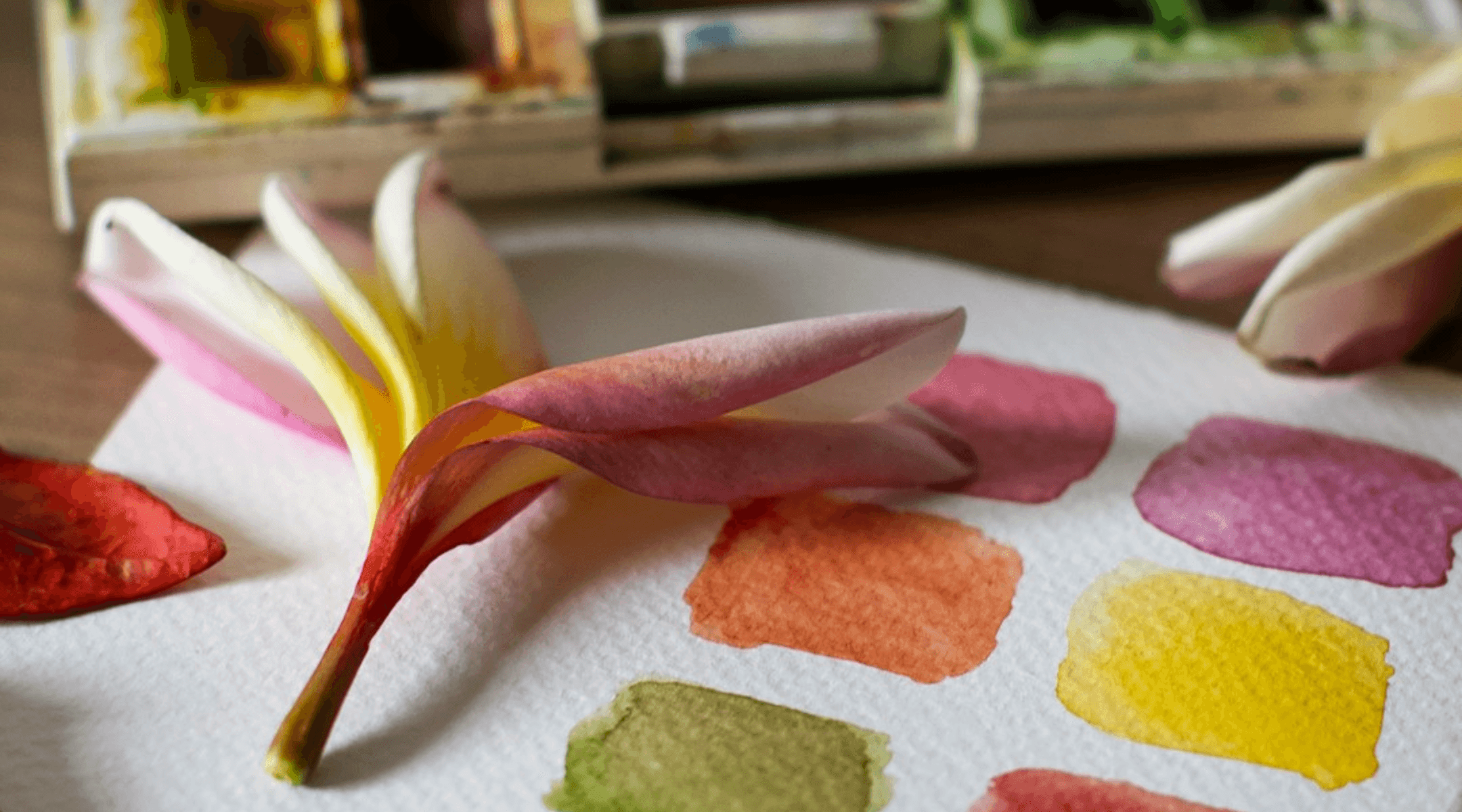 Watercolor Workshop