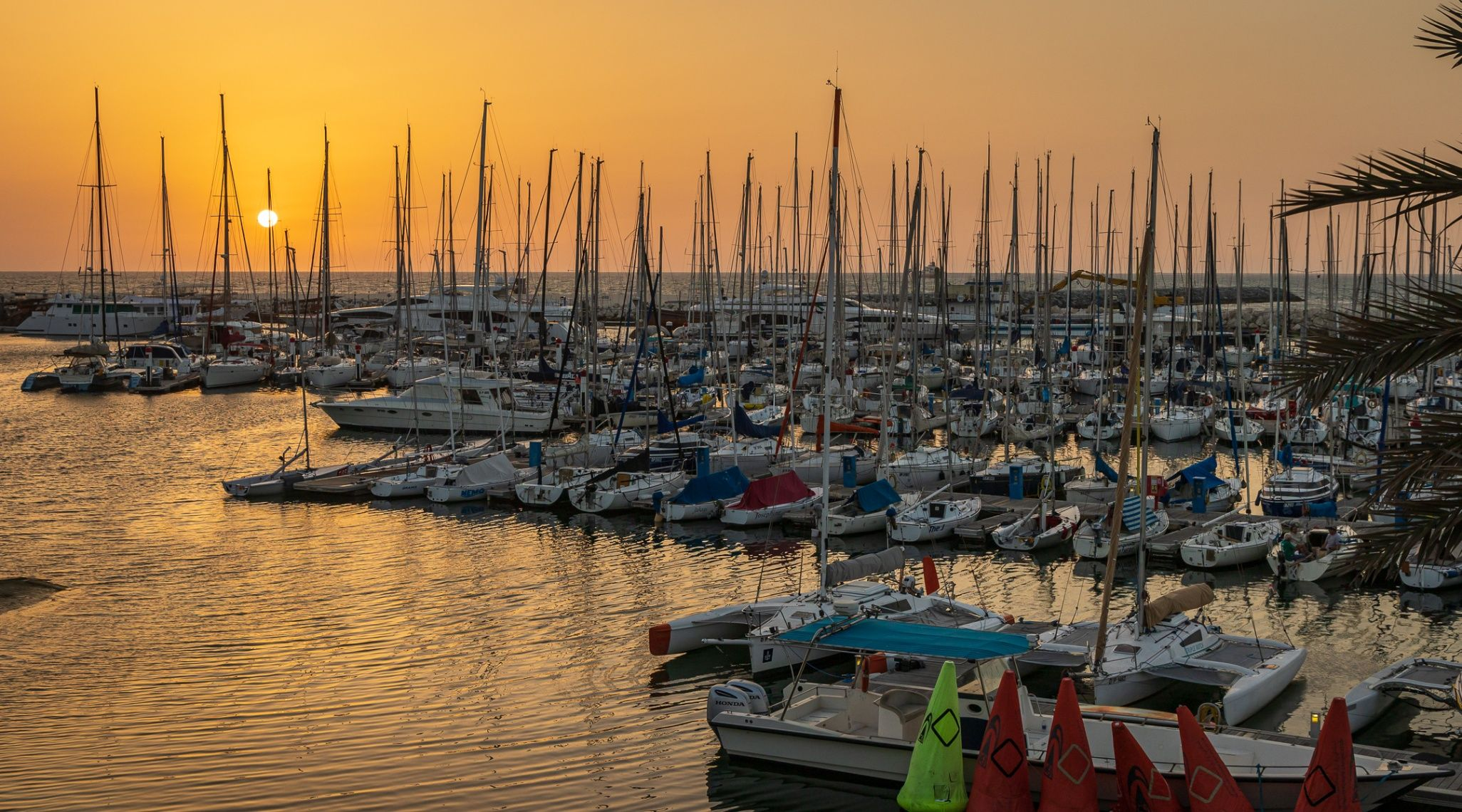 Dubai Offshore Sailing Club