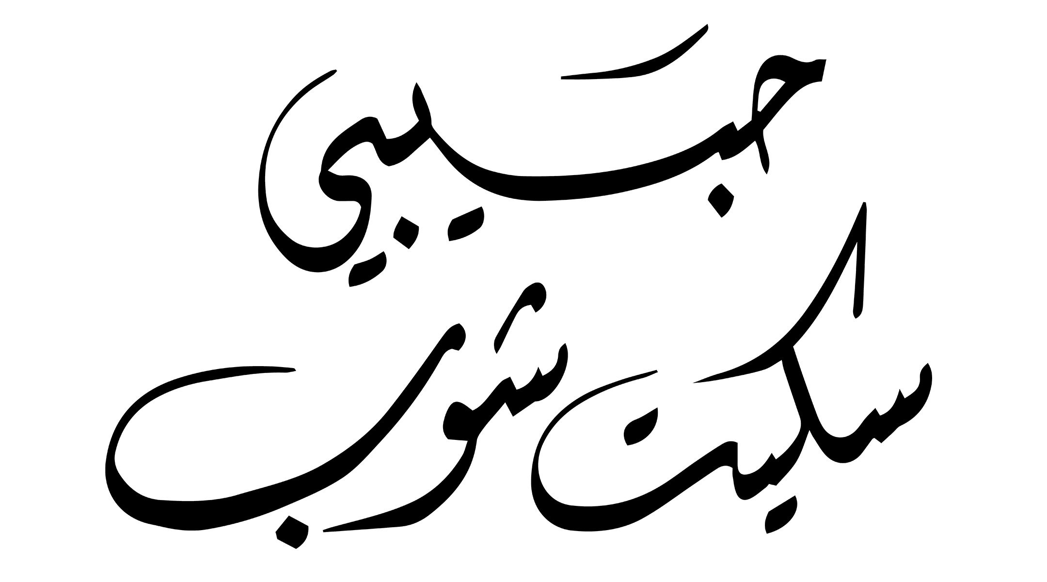 Habibi Skate Shop