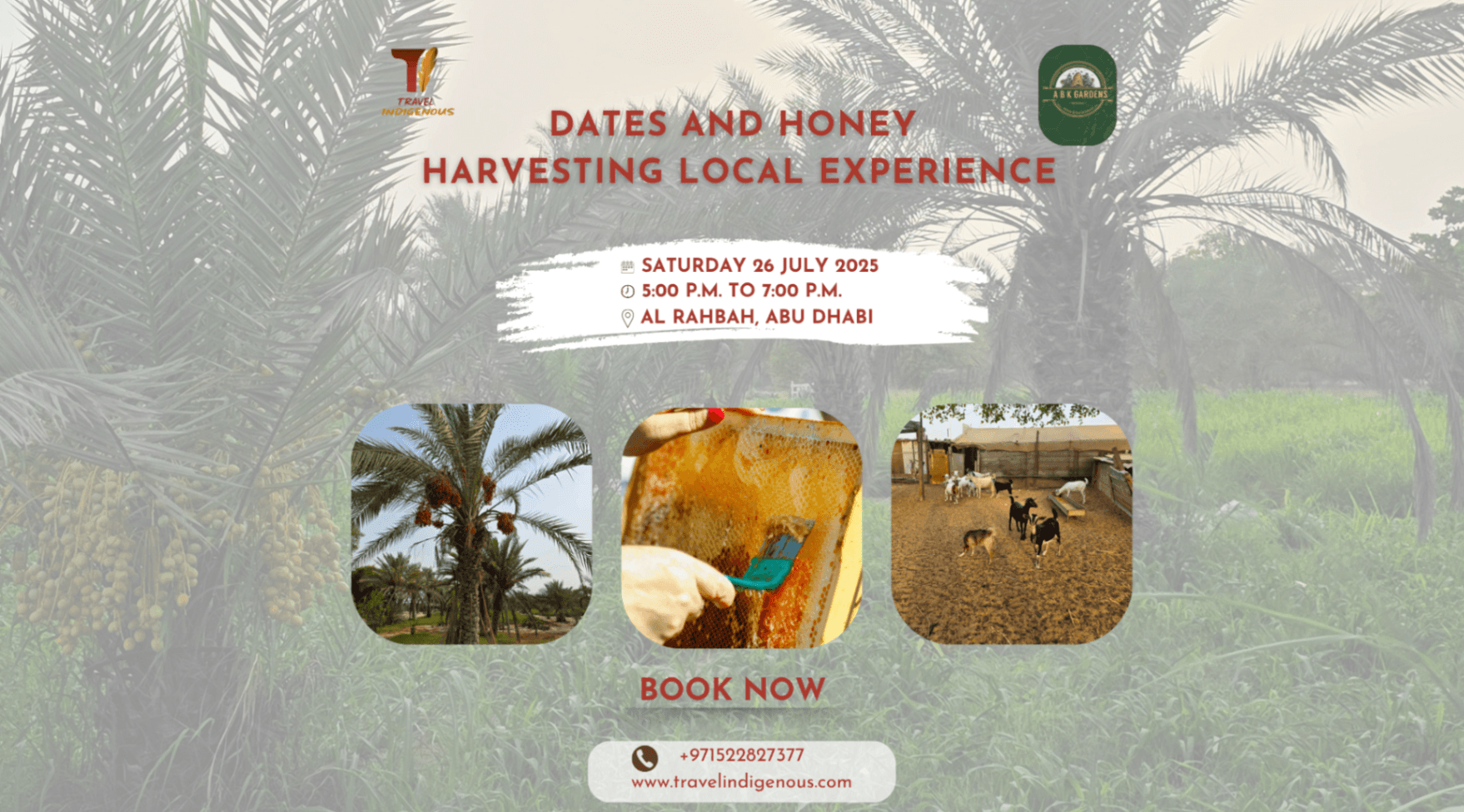 Dates and honey harvesting Local experience